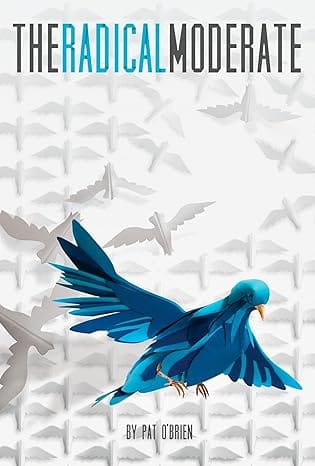Book cover for “The Radical Moderate